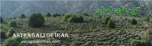 دکتر علی اصغر معصومی. گون های ایران 2