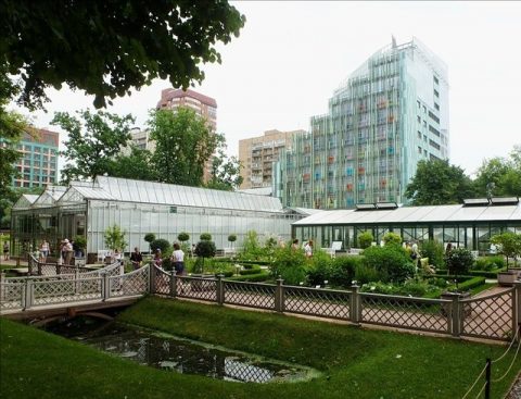 باغ گیاهان دارویی در مسکو