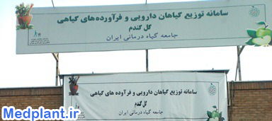 نخستین بازارچه تخصصی گیاهان دارویی و داروهای گیاهی در تهران افتتاح شد.