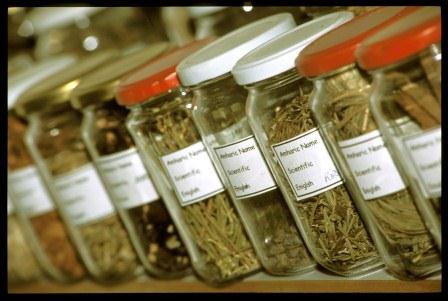 موانع و راهبردهای پیشروی توسعه اقتصاد گیاهان دارویی