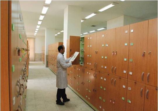 جمع آوری و شناسایی تعدادی از گونه های گیاهی استان کرمان برای تشکیل هرباریوم گیاهان دارویی دانشکده داروسازی (مرحله ۱)