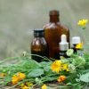 herbal-medicine داروهای گیاهی