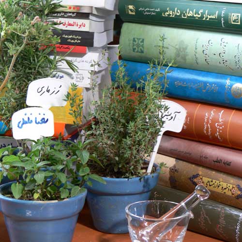 تربیت متخصص طب سنتی در زنجان