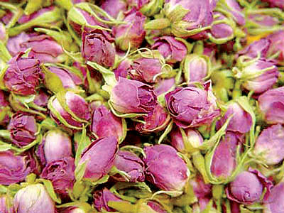 سالانه حدود چهار هزار تن گل محمدی در آذربایجان شرقی تولید می شود