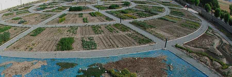 استفاده از گیاهان دارویی در فضای سبز شهرستان بافق با هدف درآمدزایی