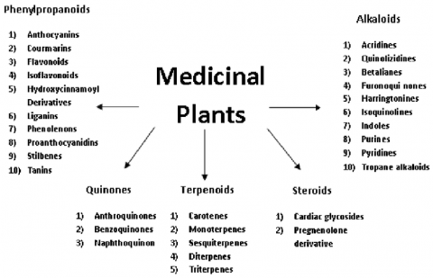 طبقه بندی گیاهان دارویی بر اساس مواد موثره