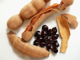 تمر هندی Tamarindus indica