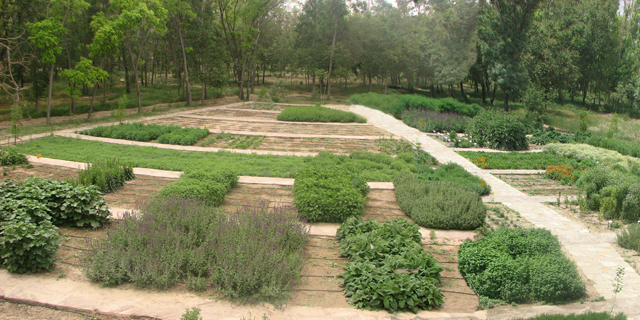 ساخت باغ گیاهان دارویی در استان فارس