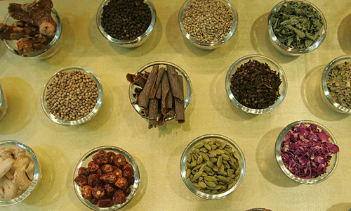 سومین جشنواره و نمایشگاه ملی گیاهان دارویی، فرآورده‌های طبیعی و طب سنتی ایران آغاز شد