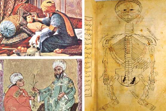 نابسامانی در طب سنتی، دلیل برگشت پرونده ایران از یونسکو