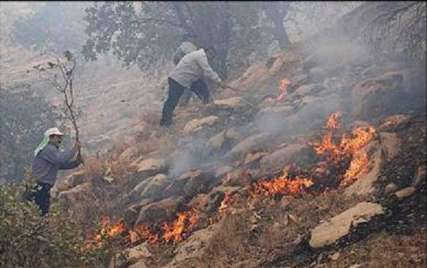 آتش سوزی مراتع همدان به ۴۰ هکتار کاهش یافت
