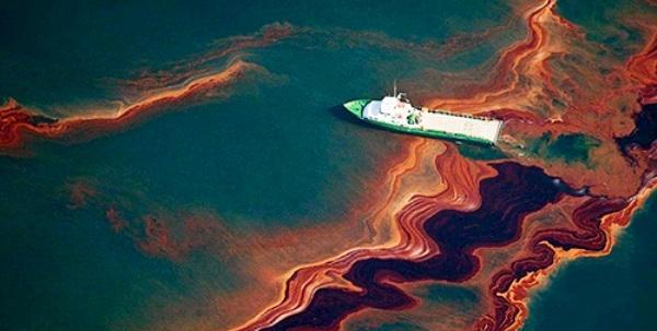 رفع آلودگی‌های نفتی از دریا با سه گیاه بومی ایران