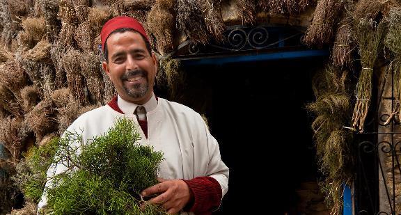 صنعت گیاهان دارویی مراکش: ایجاد سالانه ۵۰۰ هزار فرصت شغلی