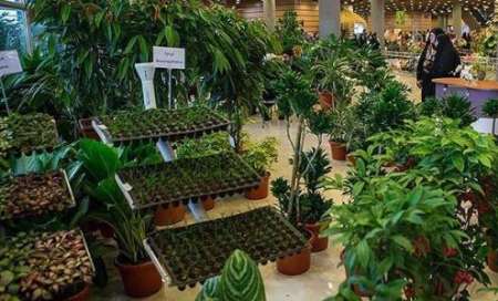 گشایش یازدهمین نمایشگاه گل و گیاهان دارویی در همدان