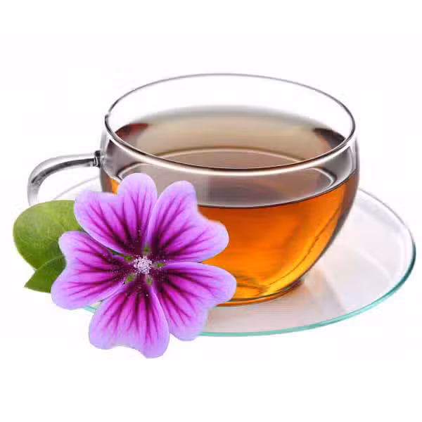 گیاه دارویی پنیرک Malva sylvestris