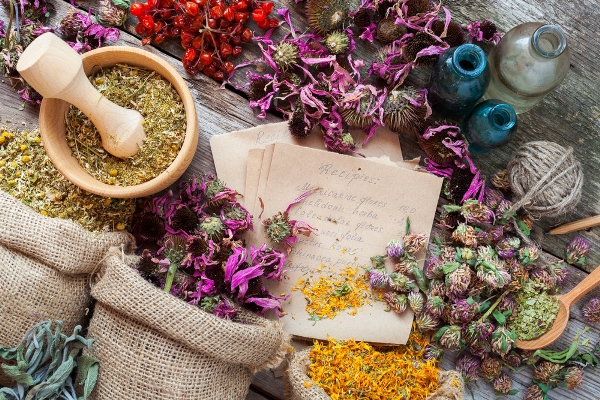 چهارمین همایش ملی گیاهان دارویی و طب سنتی ، امسال در تربت حیدریه