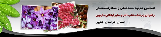 انجمن تولیدکنندگان زعفران، زرشک، انار و گیاهان دارویی خراسان جنوبی