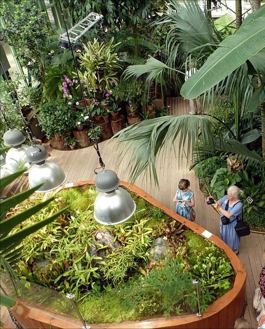 استفاده از گیاهان دارویی جهت ایجاد فضای مطبوع در موزه دفینه تهران