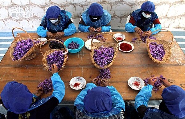 بازار زعفران ارگانیک ایران در اروپا