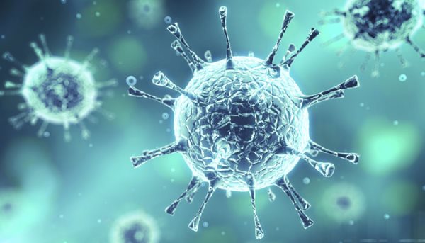 فلاونول‌ ها، ضد ویروس مؤثر در مقابله با کرونا
