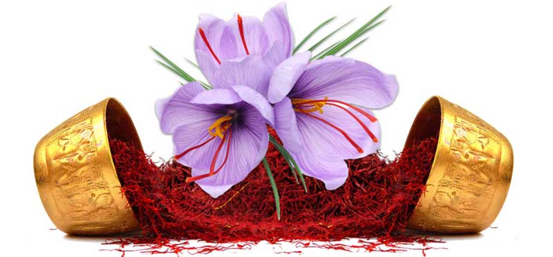 مروری بر فواید زعفران به عنوان یک داروی طب سنتی چینی در درمان بیماری های مختلف   