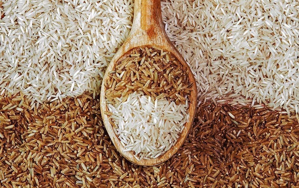 تولید برنج های رنگی و دارویی در شهرستان بابل