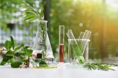استفاده از مواد تنظیم‌کننده رشد گیاهی در تولید گیاهان دارویی و معطر خانواده نعناع