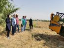 مشکلات توسعه کشت گیاهان دارویی در استان گلستان