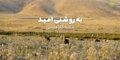 مستند به روشنی امید؛ قصه کارآفرینی