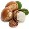 معرفی درخت شی (Shea Tree) و روغن ارزشمند آن