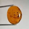 کهربا (Amber): رزین فسیل‌شده‌ی درختان
