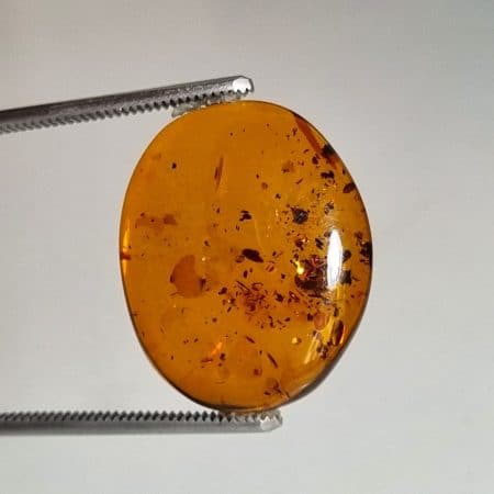کهربا (Amber): رزین فسیل‌شده‌ی درختان