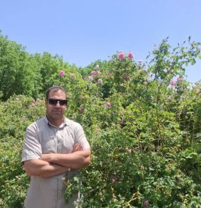 سلمان ماندنی